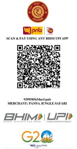 Pay-Panna Jungle Safari